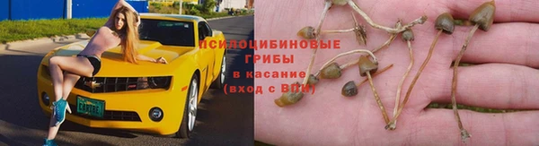 ГАЛЛЮЦИНОГЕННЫЕ ГРИБЫ Балабаново