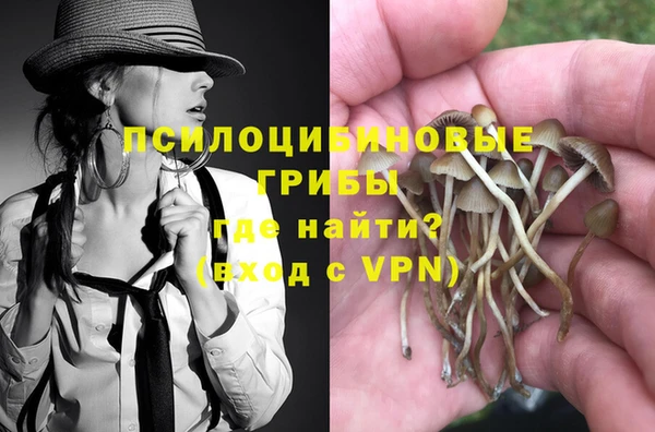ГАЛЛЮЦИНОГЕННЫЕ ГРИБЫ Балабаново